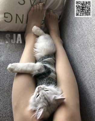 老熟妇乱子伦视频国产_高清电影免费在线